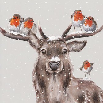 Wrendale-Luxury-boxed-Christmas-cards-luxe-Kerstkaart-enveloppe-box/8-STAG_&amp;_ROBINS-Edelhert-Roodborstjes-LXB008