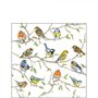 Papieren-cocktail-servetten-25x25cm-BIRDS_MEETING-vogels-verzamelen-berkenboom-takken-Ambiente-12514975