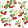 Papieren-servetten-lunch-FRESH_CHERRIES-fruit-vruchten-bloesem-rode-verse-kersen-33x33cm-Ambiente-13318140