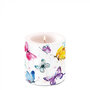 Ambiente-Kaars-candle-Small-BUTTERFLY_COLLECTION-White-gekleurde-vlinders-35h-branduren-19216265