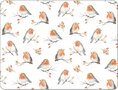 Ambiente-placemats-PVC-40x30cm-ROBIN-FAMILY-Roodborstjes-rozenbottel-takjes-39016805 