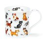 DUNOON-fine_bone_china-mug-Bute-beker-mok-Tasse-CUTE-CATS-huisdieren-jonge-Katten