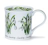 Bute-fine-bone-China-beker-mok-mug-SPRING-FLOWERS-BLOEMEN-Snowdrops-Sneeuwklokjes-bloembol