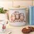 Wrendale Designs-Biscuit-barrel-koekjes-trommel-rond-groen-16cm-WRENDALE-THE_COUNTRY_LIFE-Owls-koekjes-Hannah_Dale-BT007