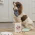 voorraad-trommel-vierkant-Wrendale_Designs-DOG-treat-tin-Hannah_Dale-honden-voer-blik-PETTN001